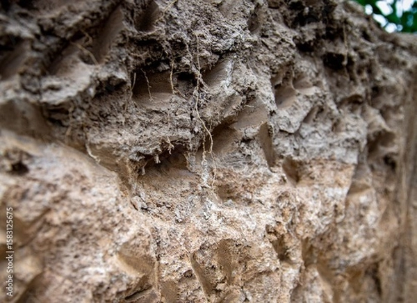 Fototapeta soil texture close up