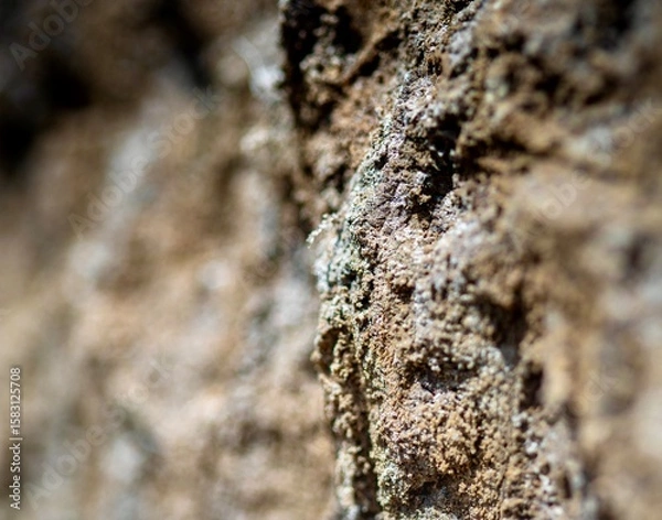 Fototapeta soil texture close up 