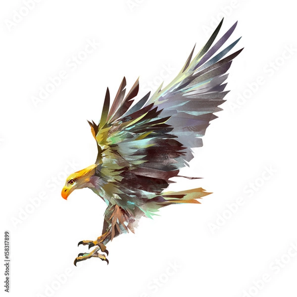 Fototapeta bright isolated illustration of a flying eagle
