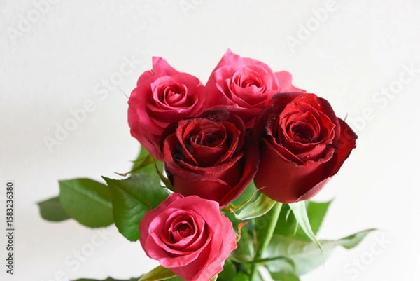 Fototapeta 赤とピンクのばら