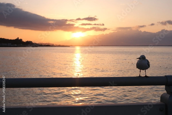Obraz 朝焼けの海と静かにたたずむカモメたち - 平穏な夜明け