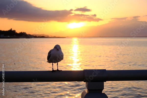Obraz 朝焼けの海と静かにたたずむカモメたち - 平穏な夜明け