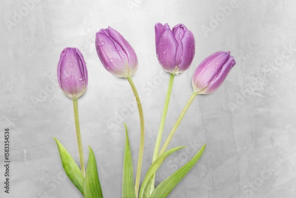 Obraz Minimalist Tulip Collection – Single Stems & Blooming Simplicity