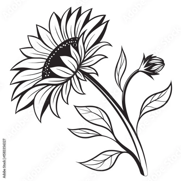 Obraz Vector art of a beautiful sunflower with leaves is isolated on white background