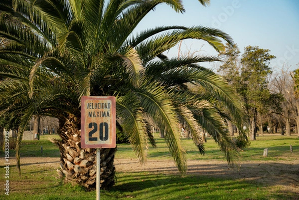 Fototapeta Señal de tránsito