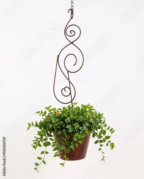 Obraz Wrought iron spiral design hanging flower pot on plain white background