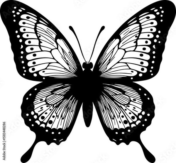 Fototapeta A captivating butterfly silhouette with distinct patterns and delicate dots adorning its wings, creating a detailed and aesthetically pleasing design suitable for elegant nature-themed projects 