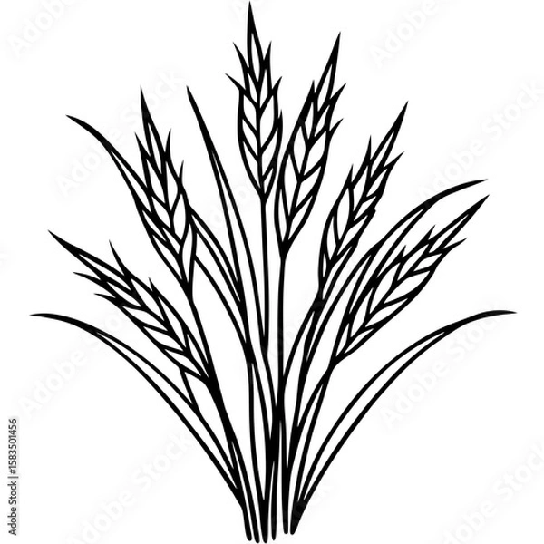 Fototapeta Fine Fescue line art vector