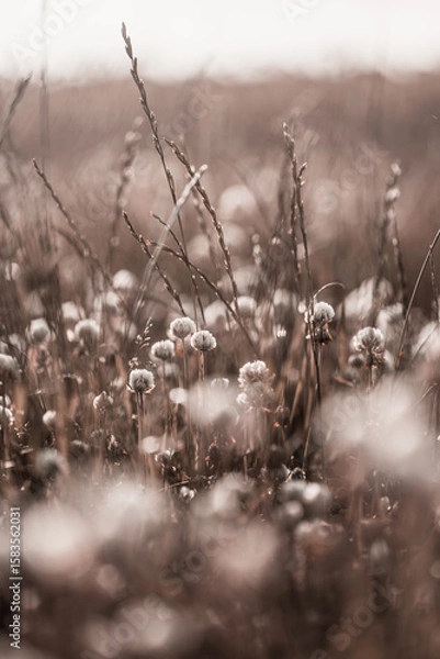 Obraz Klee im Sommer