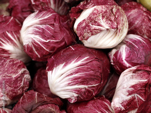 Obraz Radicchio