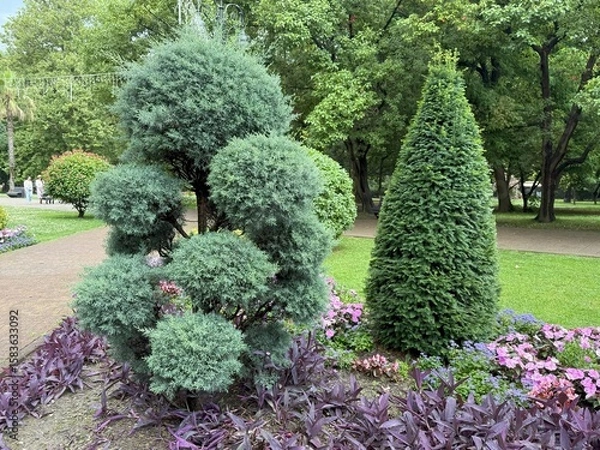 Obraz Lush greenery and vibrant flowers create a picturesque scene along a paved pathway, inviting visitors to enjoy the tranquility of nature within the park