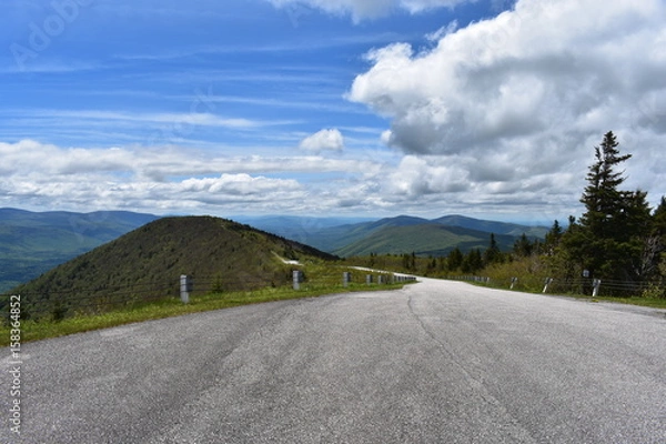 Obraz The Road Less Traveled