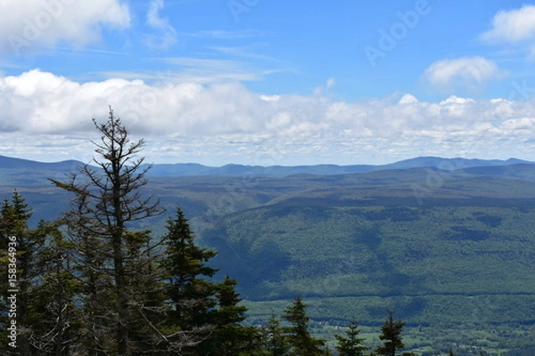 Obraz Vermont VIew