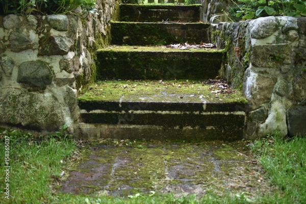 Obraz Moss Stone Stairs