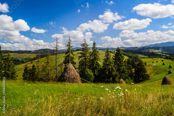Fototapeta Haystack Rock in the Carpathian