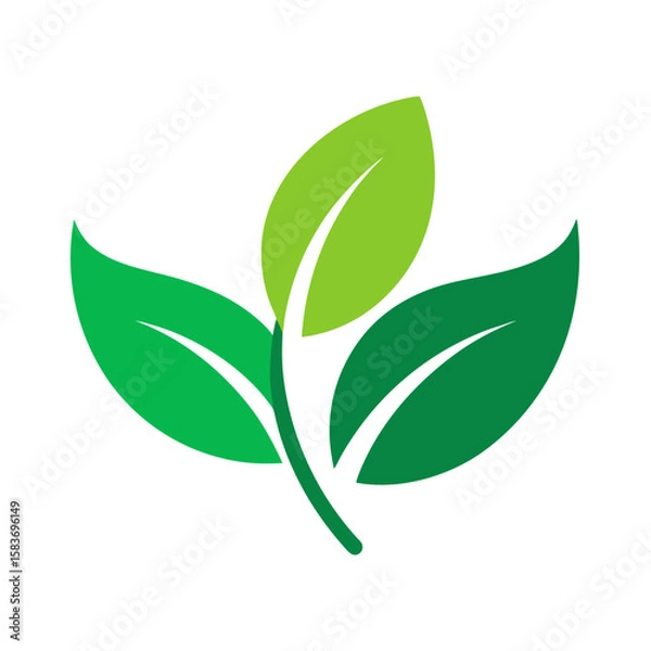 Fototapeta green leaf icon vector 