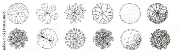 Fototapeta Versatile tree top view vector illustration set, perfect for architectural designs and landscape planning. tree silhouettes enhance any project with natural elegance