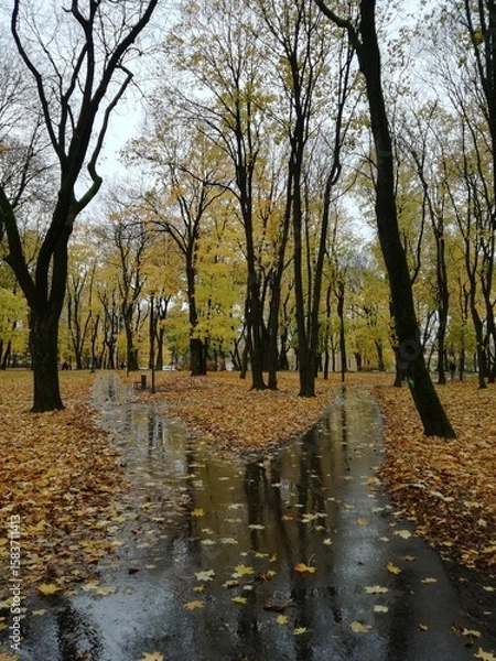Obraz Tree Park in Kaunas, Lithuania
