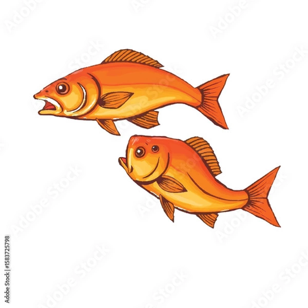 Obraz Two vibrant orange fish swimming in a playful dance against a white background