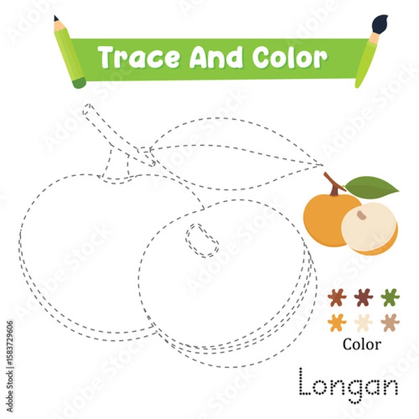 Obraz Handwriting Practice. Trace And Color The Longan Food Which Is Perfect. Vector Illustration