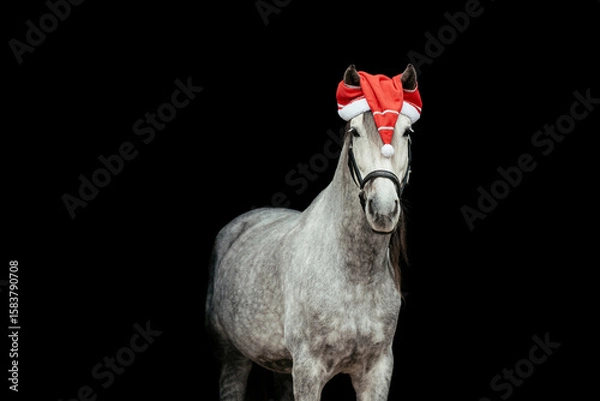 Obraz Weihnachtspferd