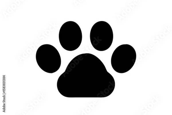 Obraz paw print vector