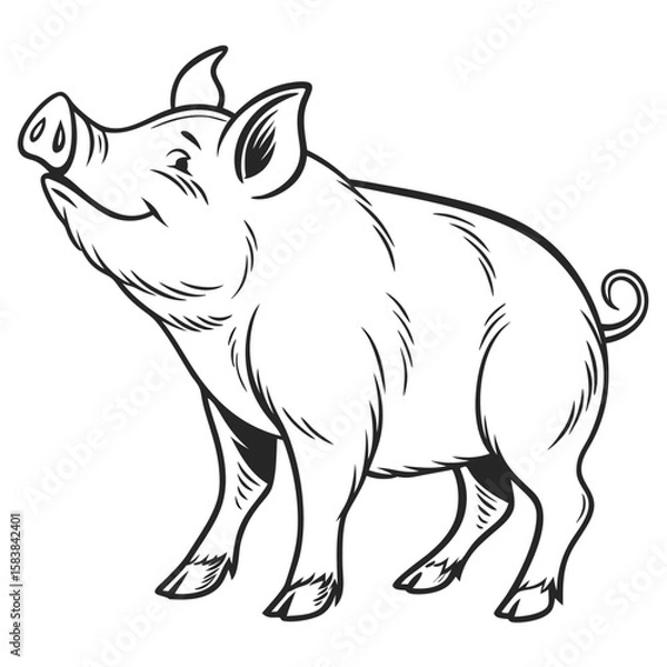 Obraz content cute standing pig vector illustration