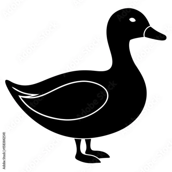 Obraz isolated duck silhouette vector design black 