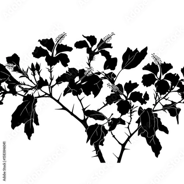 Fototapeta Detailed Maple Branch Silhouette – Intricate Black Botanical Vector
