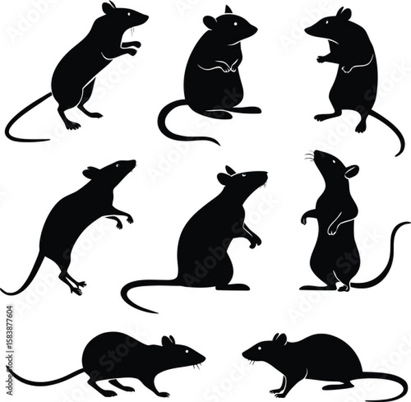Obraz Rat silhouette bundle set vector design with editable and white background
