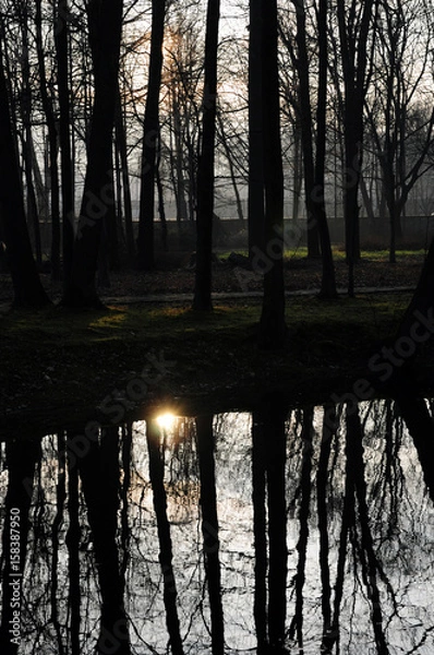 Fototapeta Trees water reflection