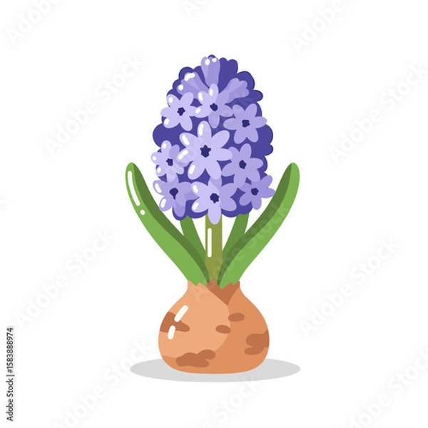 Obraz Hyacinth – Jelly Candy Vector Icon from Set03
