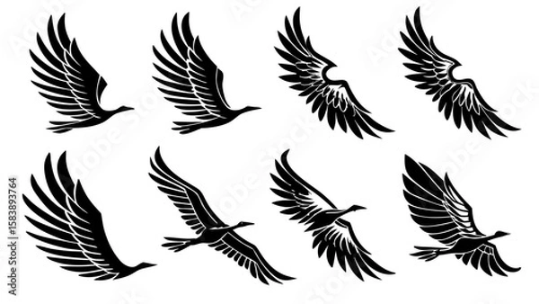 Obraz Flying Bird Silhouette Set – Collection of Black Vector Birds in Flight with Outstretched Wings on White Background
