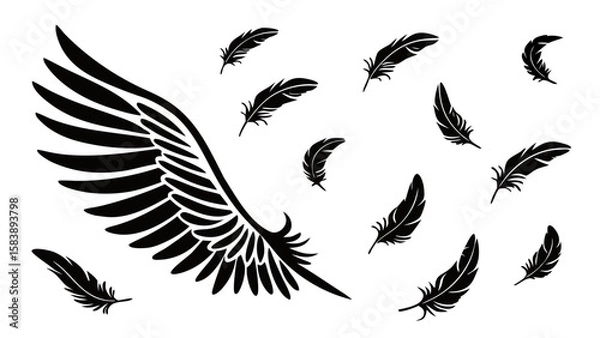Obraz Black Wing and Feather Silhouette Set – Vector Collection of Flying Feathers and Angel Wing Design on White Background
