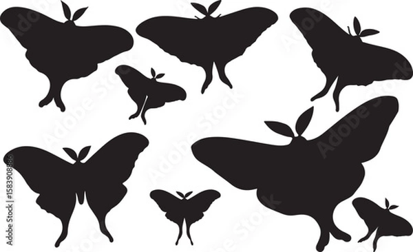 Obraz Luna Moth Silhouettes Vector Pack