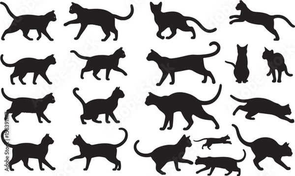 Fototapeta Siamese Cat Silhouettes Vector Pack