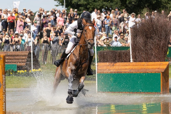 Fototapeta Vielseitigkeitspferd  im Turnier