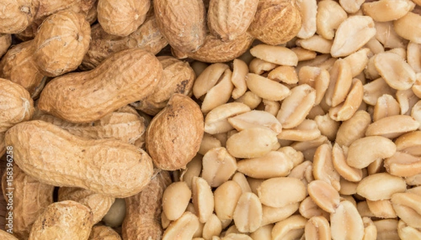 Obraz Shell on peanuts