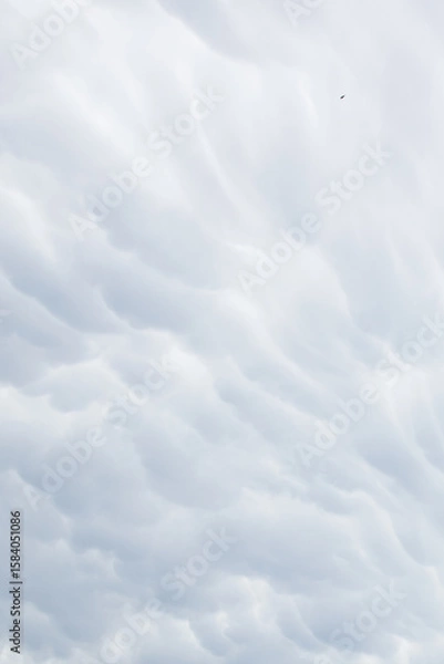 Obraz Rain clouds in the sky