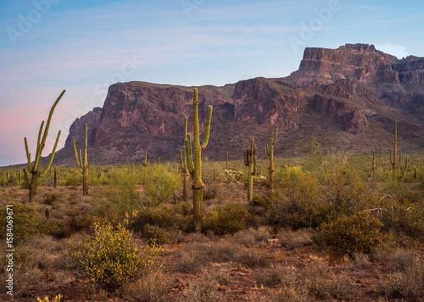 Fototapeta Superstition Mountains at sunrise on the Broadway Trail in Apache Junction, Arizona