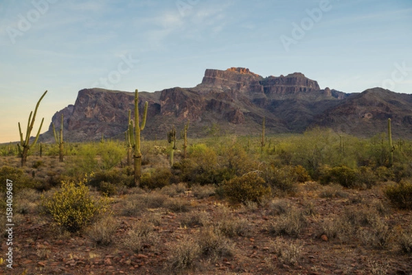 Fototapeta Superstition Mountains at sunrise on the Broadway Trail in Apache Junction, Arizona. 