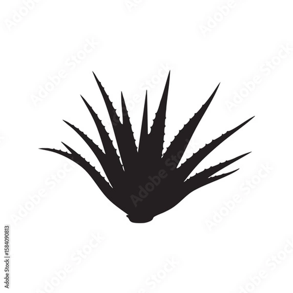 Fototapeta Spiky Aloe Vera Plant in Fan Shape – Sharp Leaf Minimal Botanical Vector Silhouette