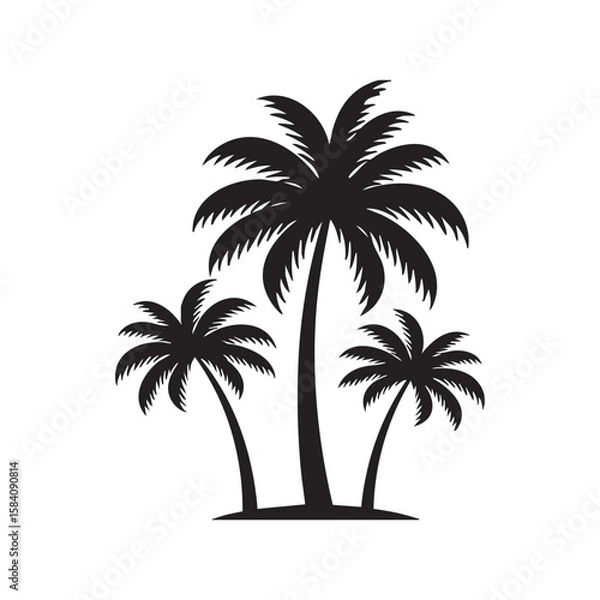 Fototapeta Stylized Palm Tree Grove Silhouette – Three Summer Trees of Varying Height in Line Art