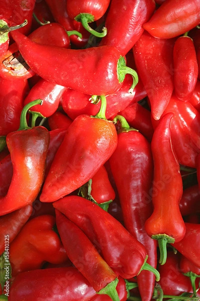 Obraz papryka czerwona