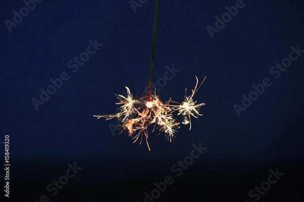 Obraz 夏の思い出、線香花火／夏といえば花火。中でも線香花火は長く楽しめる。見つめていると様々な思いがよぎるのもこの花火の特徴としてイメージ撮影した。