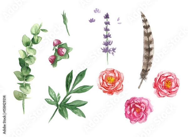 Fototapeta Watercolor set with leaves, peonies, feather and lavender on white background