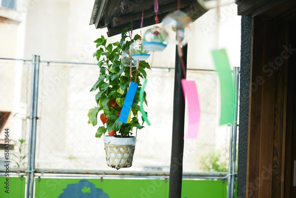 Obraz 伊香保温泉街