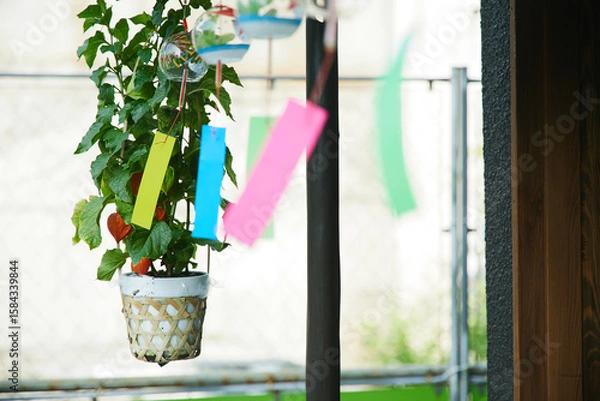 Obraz 伊香保温泉街