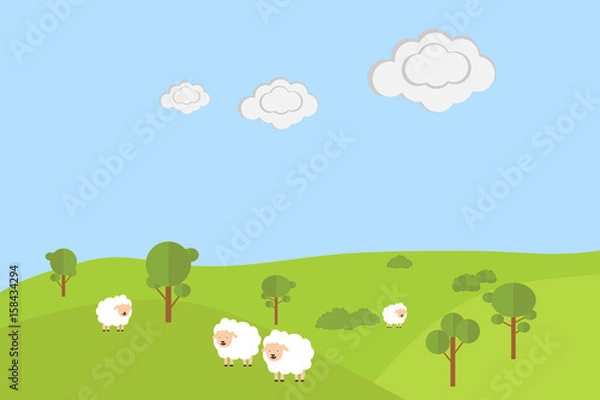 Fototapeta Sheep grazing