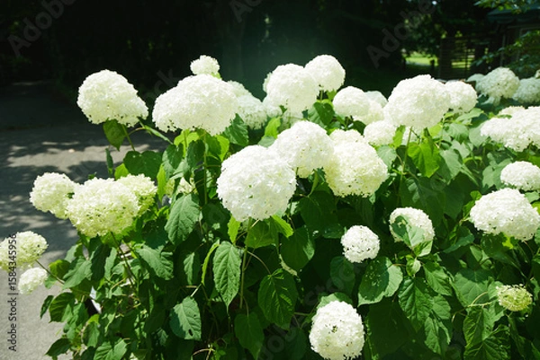 Obraz 動物園　伊香保